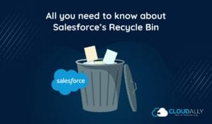 Salesforce Recycle Bin