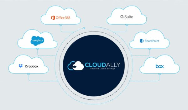 SaaS backup solutions