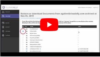 BoxGranular Restore at Any Hierarchical Level