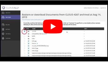 Dropbox Granular Dropbox Restore at Any Hierarchical Level