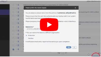 Salesforce Restoring to a different organization