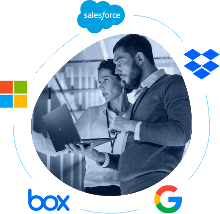 SaaS Backup for the Information Technology Industry